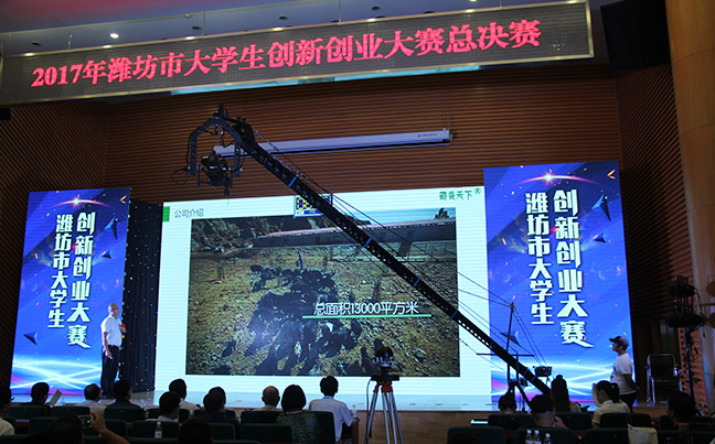 藏香猪项目路演展示